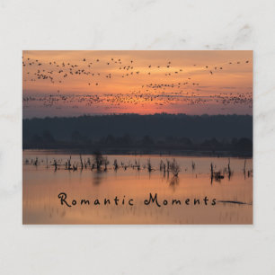 Carte Postale Moments romantiques Oiseaux au lever du soleil pho