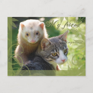 Carte Postale Mon ami