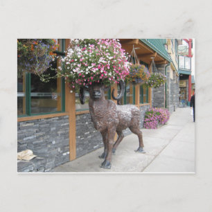 Carte Postale Mon Casquette de fleurs