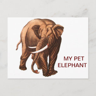 CARTE POSTALE MON ÉLÉPHANT ANIMAL