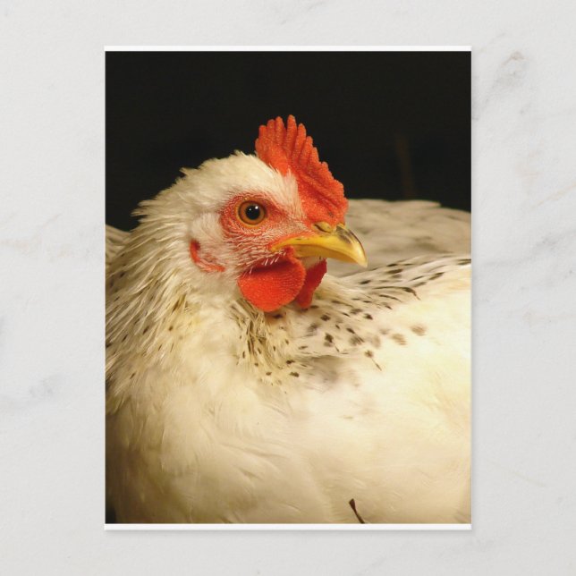 Carte Postale Mon garçon (Devant)