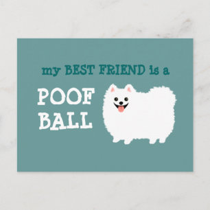 Carte Postale Mon meilleur ami est un ballon de poof - White Pom