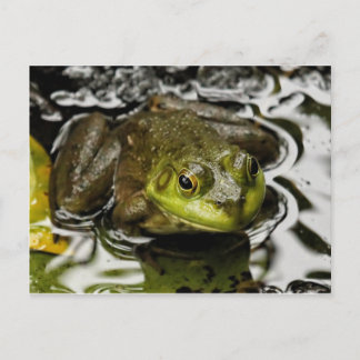 Carte Postale Mon Prince