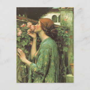 Carte Postale Mon Rose doux, ou Âme du Rose par Waterhouse