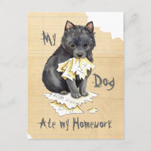 Carte Postale Mon Schipperke A Mangé Ma Maison