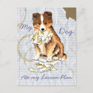 Carte Postale Mon Sheltie a mangé mon plan de leçon