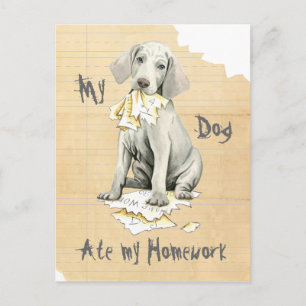 Carte Postale Mon Weimaraner A Mangé Mes Devoirs