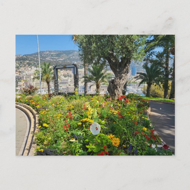 Carte Postale Monaco  (Devant)