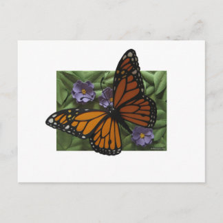 Carte postale Monarch Butterfly