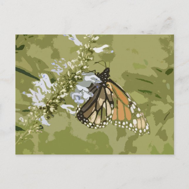 Carte Postale Monarch & Salvia (Devant)