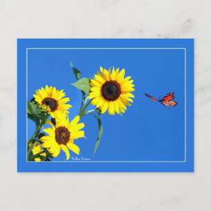 Carte Postale Monarque Jaune et Bleu