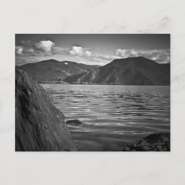 CARTE POSTALE ~ Monarques verts le long du lac Pen (Devant)