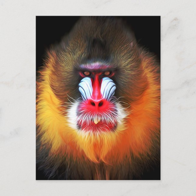 Carte Postale monkey (Devant)