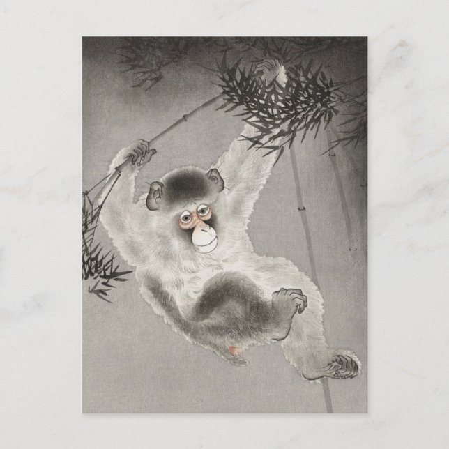 Carte Postale Monkey Hanging de la branche de Bambou par Ohara K (Devant)