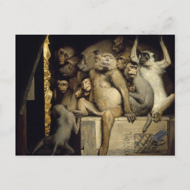 Carte Postale Monkey Postcard : Monkeys Art Critics (Devant)