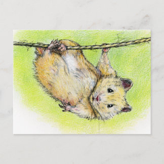 Carte Postale Monsieur Ham