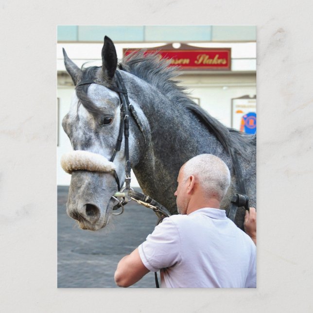 Carte Postale Monsieur Monolo (Devant)