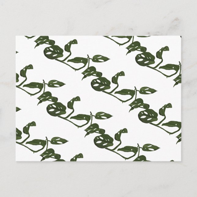 Carte Postale Monstera Adanosii Fromage Plante Motif vert (Devant)