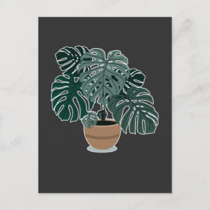 Carte Postale Monstera Plante Belle Houseplant