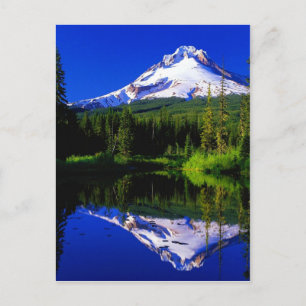 Carte Postale mont capot oregon paysage neige