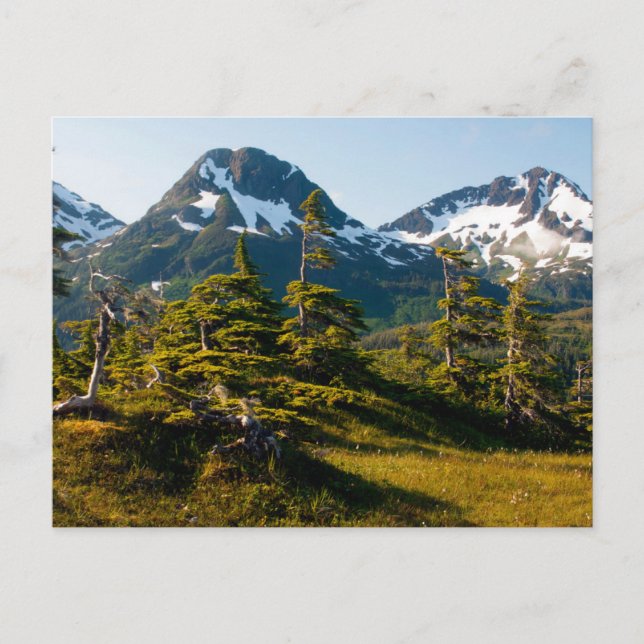 Carte Postale Mont Eccles près de Cordova, Alaska (Devant)