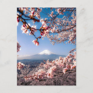 Carte Postale Mont Fuji et cerisier