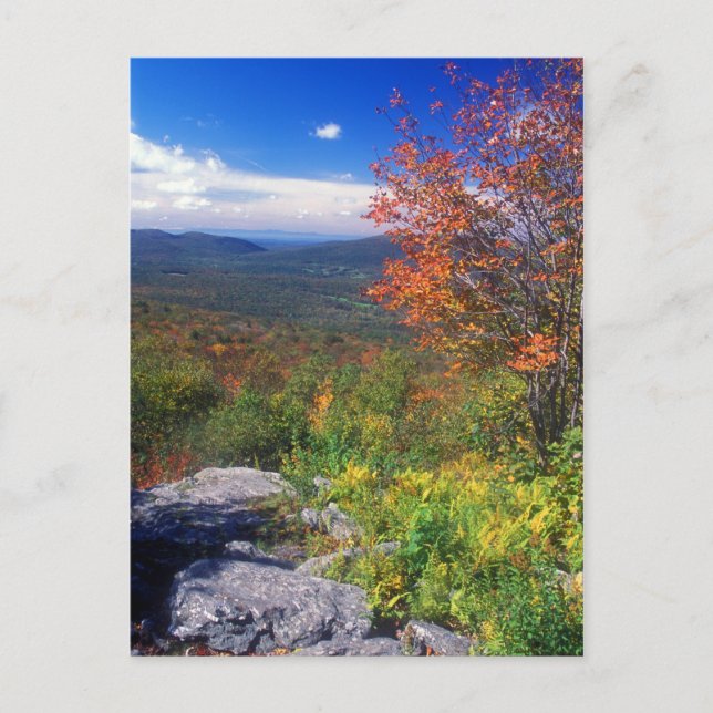 Carte Postale Mont Greylock Round Rock Vista (Devant)