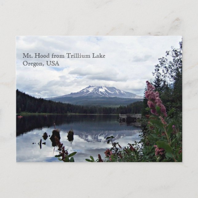 Carte Postale Mont Hood du lac Trillium (Devant)