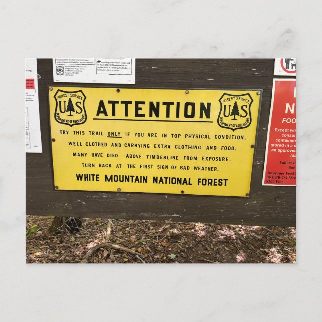 Carte postale Mont Jackson (Devant)