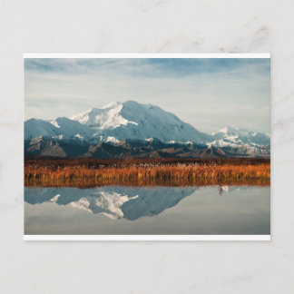 Carte Postale Mont McKinley dans le parc national Denali, Alaska