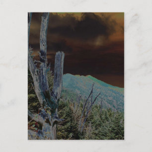 Carte Postale Mont Mitchell, Caroline du Nord