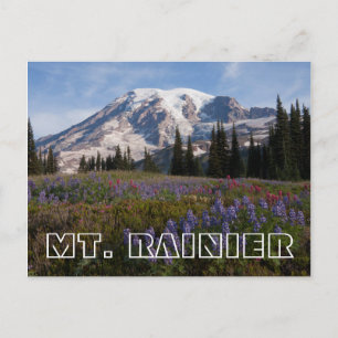Carte Postale Mont Rainier National Park, Mont Rainier 3