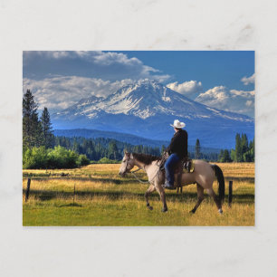 CARTE POSTALE MONT SHASTA AVEC CHEVAL ET RIDER