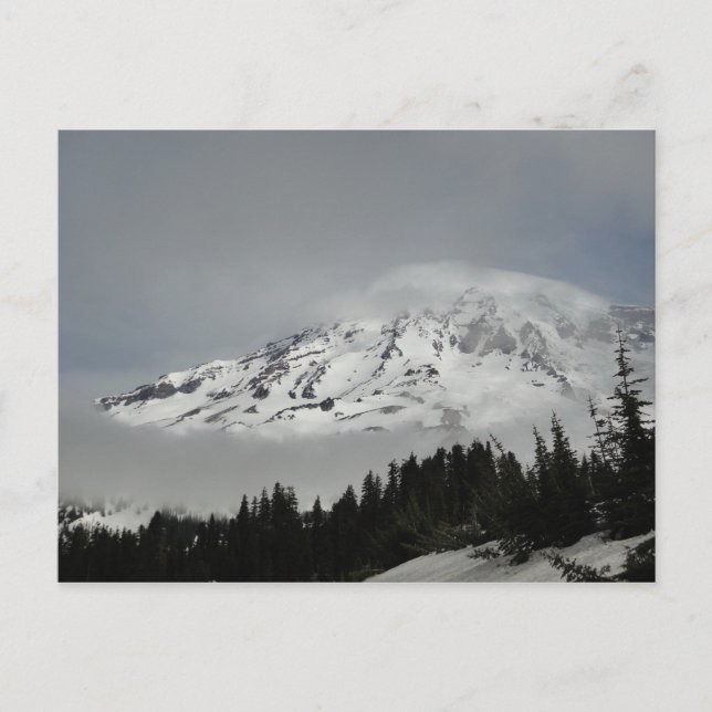 Carte Postale Mont Snowy Rainier (Devant)