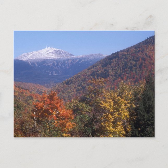 Carte Postale Mont Washington Snow Foliage (Devant)
