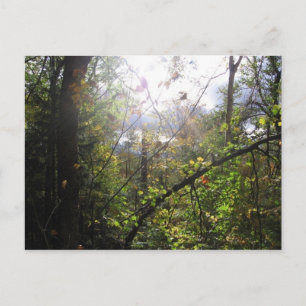 Carte Postale montagne cascade