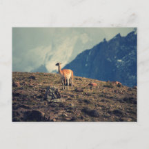 Montagne de Guanaco