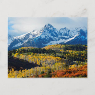 Carte Postale Montagne et arbres neigeux