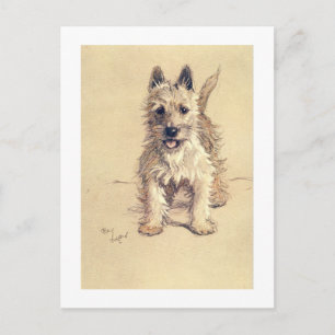 Carte Postale Montagne Terrier blanc occidentale