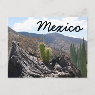 Carte Postale Montagnes du Mexique Paysage du désert de Cactus