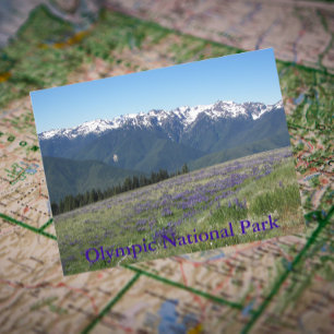 Carte Postale Montagnes et prairies du parc national olympique
