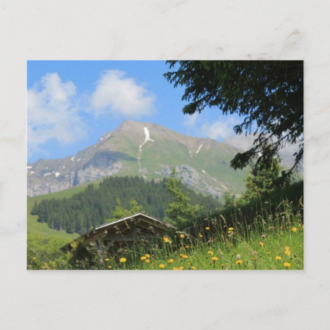 Carte Postale Montagnes suisses (Devant)