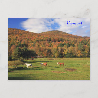 Carte Postale Montagnes vertes et chevaux en automne
