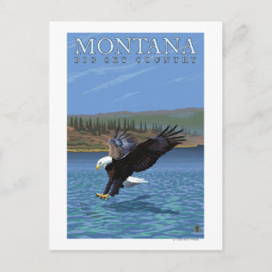 Carte Postale Montana — Big Sky PaysAigle de plongée