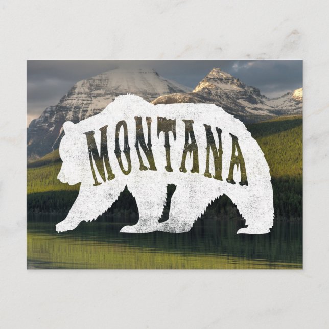 Carte postale Montana Grizzly Bear (Devant)