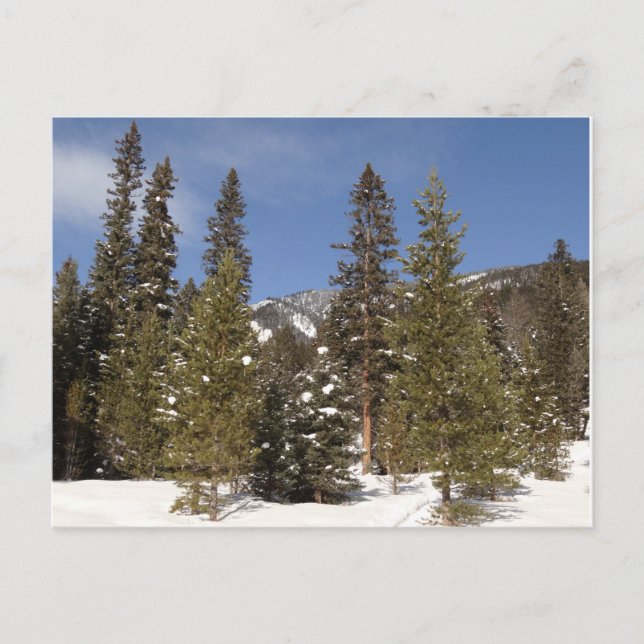 Carte Postale Montana Mountain Trails in Winter Landcape Photo (Devant)
