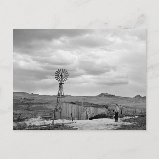 Carte Postale Montana Sheep Ranch, 1942 (Devant)