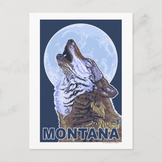 Carte Postale Montana Wolf Howling (Devant)