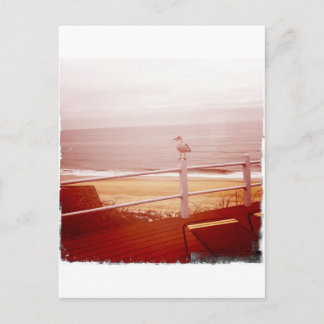 Carte Postale Montauk Seagull Love 3.0
