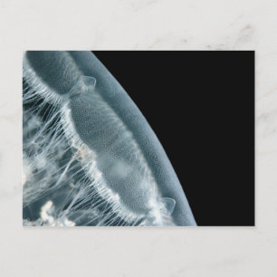 Carte Postale Montée de la lune